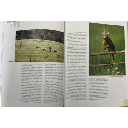 Livre La chasse du chevreuil de Gilbert Valet
