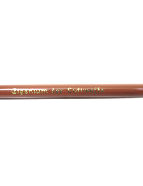 Crayon Allemand Polychromos ref 60 