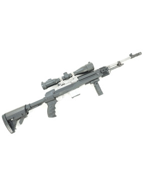 Carabine Ruger Mini 14...