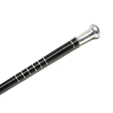 Stick original  d'officier ref  670