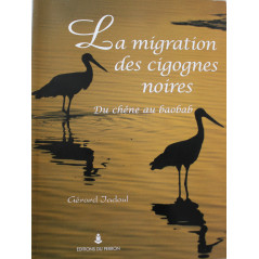 Livre La migration des cigognes noires: Du chêne au baobab de G. Jadoul