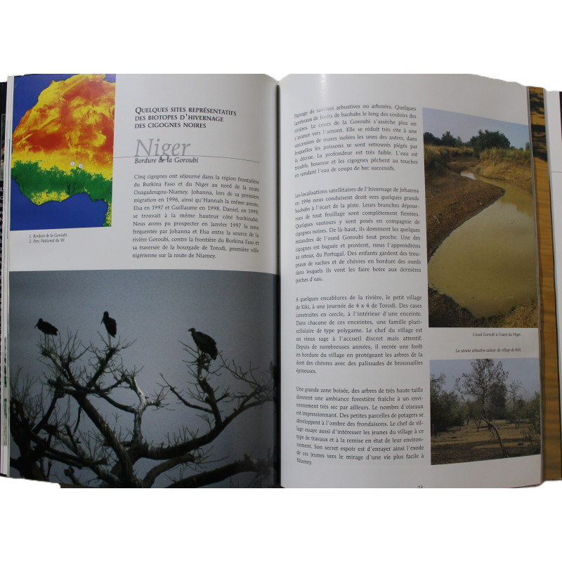 Livre La migration des cigognes noires: Du chêne au baobab de G. Jadoul