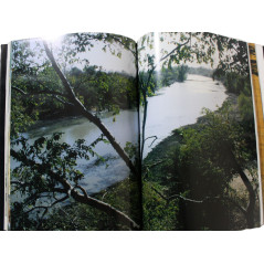 Livre La migration des cigognes noires: Du chêne au baobab de G. Jadoul