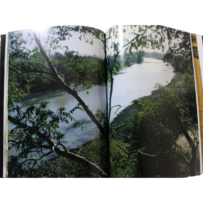 Livre La migration des cigognes noires: Du chêne au baobab de G. Jadoul