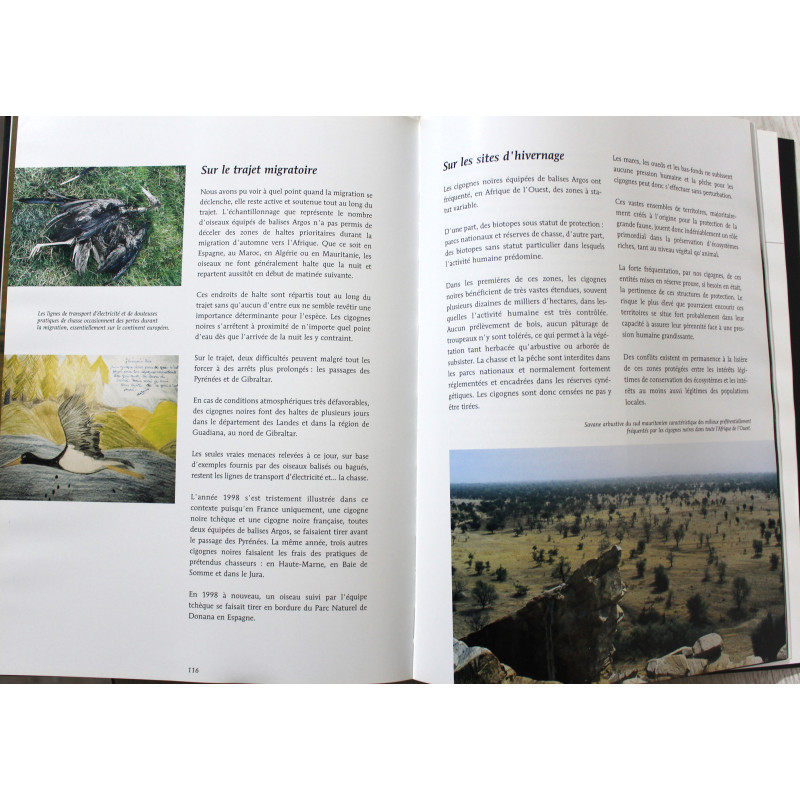 Livre La migration des cigognes noires: Du chêne au baobab de G. Jadoul