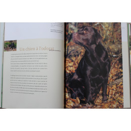 Livre Fabuleux Retrievers de Karl-Heinz Rauth-Widmann
