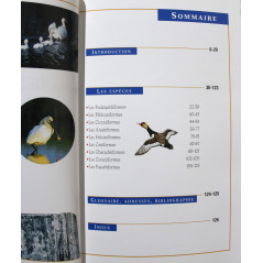 Livre Oiseaux des étangs et rivières de Pierre Darmangeat