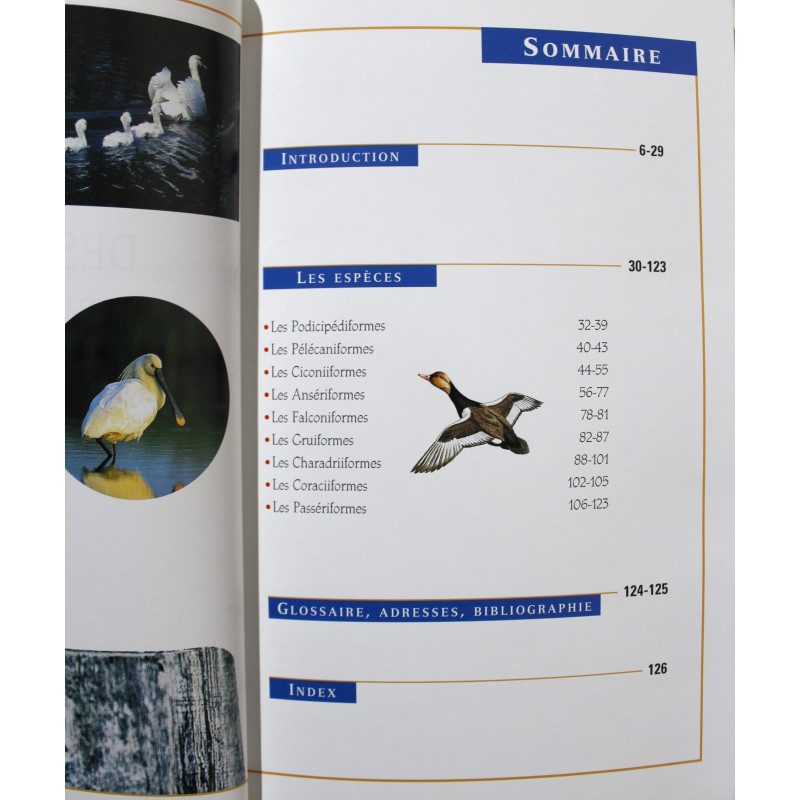 Livre Oiseaux des étangs et rivières de Pierre Darmangeat