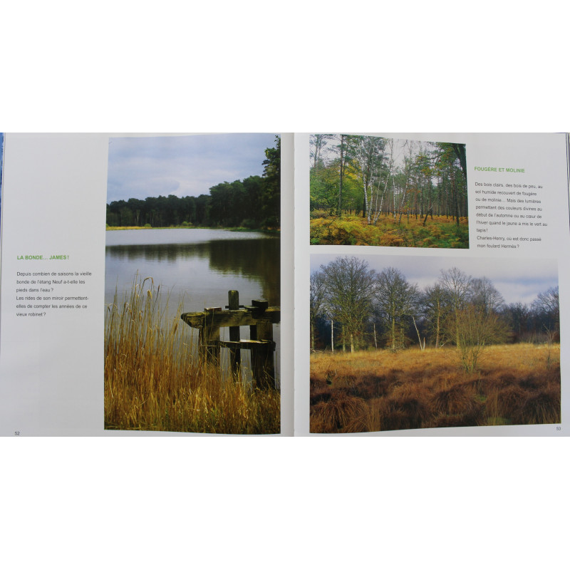 Album Chambord :Patrimoines exceptionnels de Jean-Paul Grossin, Francis Forget Album Chambord :Patrimoines exceptionnels de Jean-Paul Grossin, Francis Forget