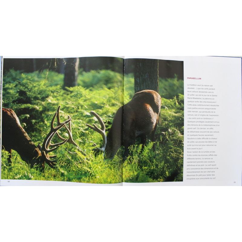 Album Chambord :Patrimoines exceptionnels de Jean-Paul Grossin, Francis Forget Album Chambord :Patrimoines exceptionnels de Jean-Paul Grossin, Francis Forget