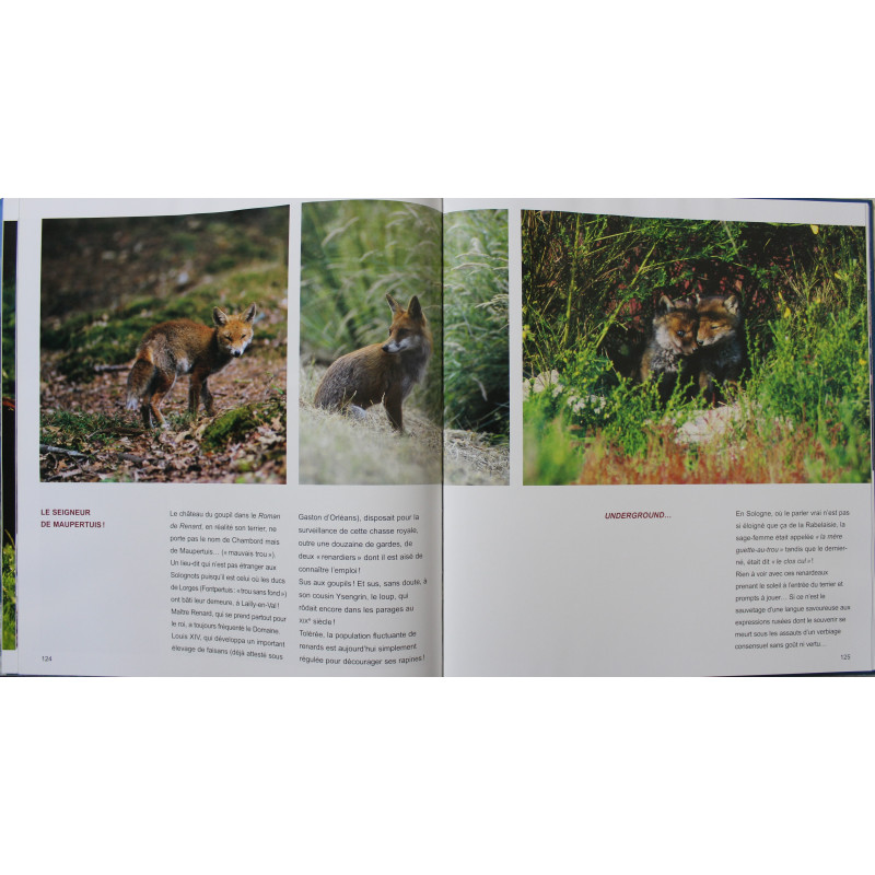 Album Chambord :Patrimoines exceptionnels de Jean-Paul Grossin, Francis Forget Album Chambord :Patrimoines exceptionnels de Jean-Paul Grossin, Francis Forget