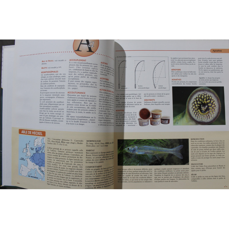 Grand dictionnaire encyclopédique de la pêche Grand dictionnaire encyclopédique de la pêche