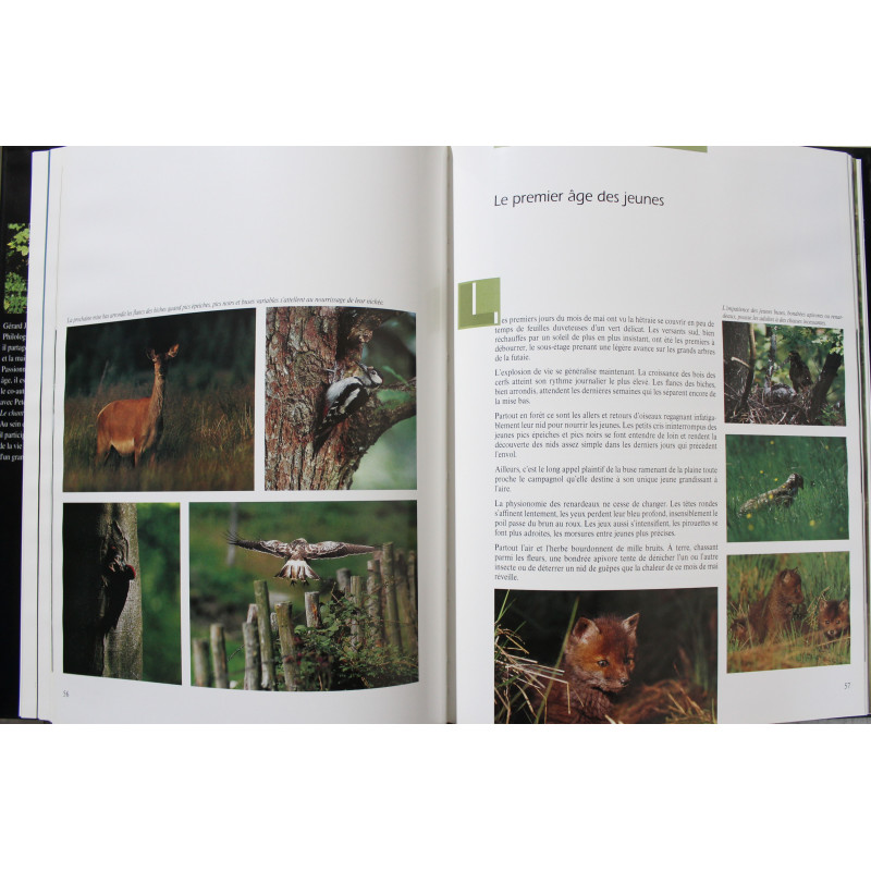 Album La cigogne noire de Gérard Jadoul Album La cigogne noire de Gérard Jadoul