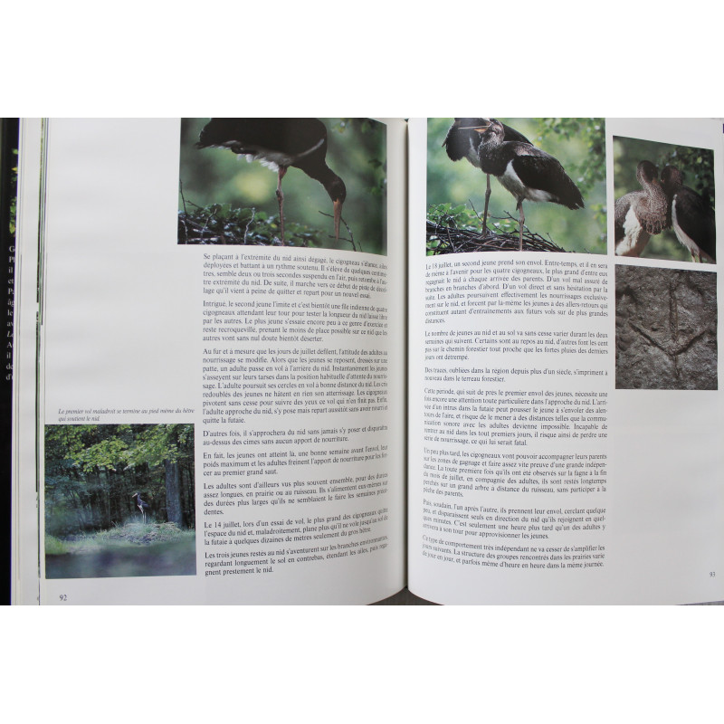 Album La cigogne noire de Gérard Jadoul Album La cigogne noire de Gérard Jadoul