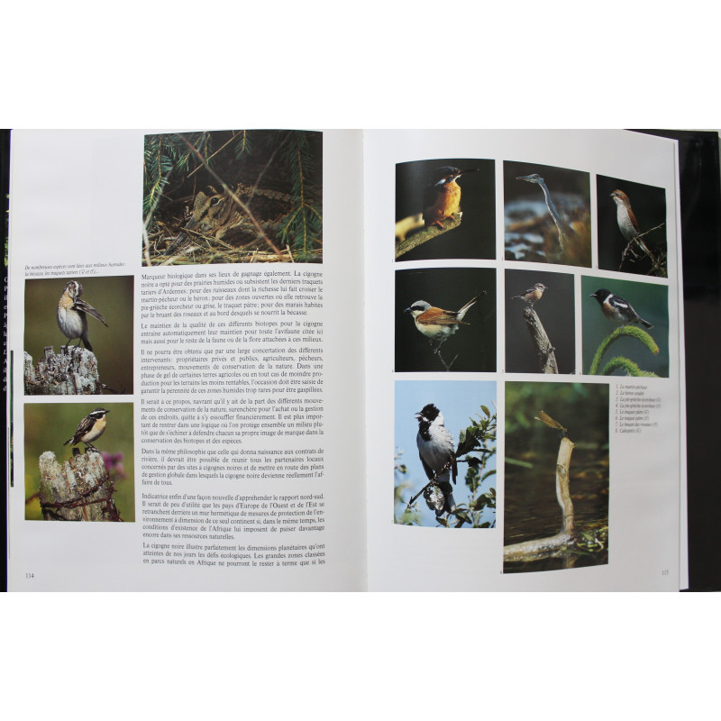 Album La cigogne noire de Gérard Jadoul Album La cigogne noire de Gérard Jadoul