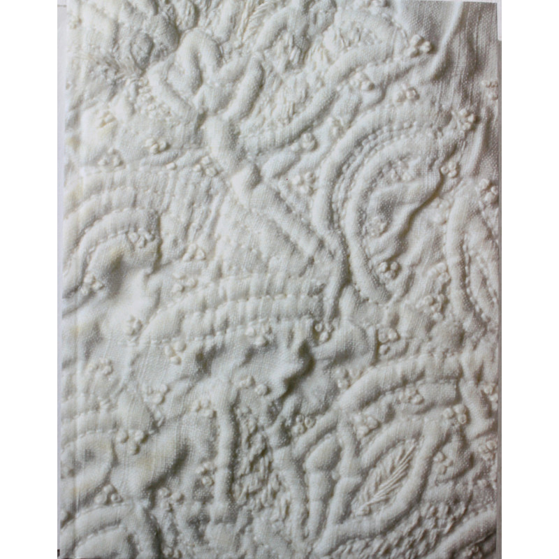 Les Secrets De La Fleur Decorative de Claude Fauque