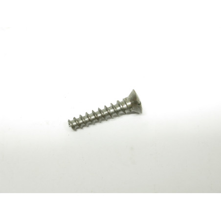 Vis de plaque de couche neuve de stock 