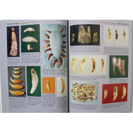 Livre Antler Bone & Shell Artifacts: Identification & Value Guide