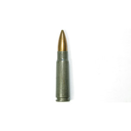 7.62 AK bnx 84 EAL inerte