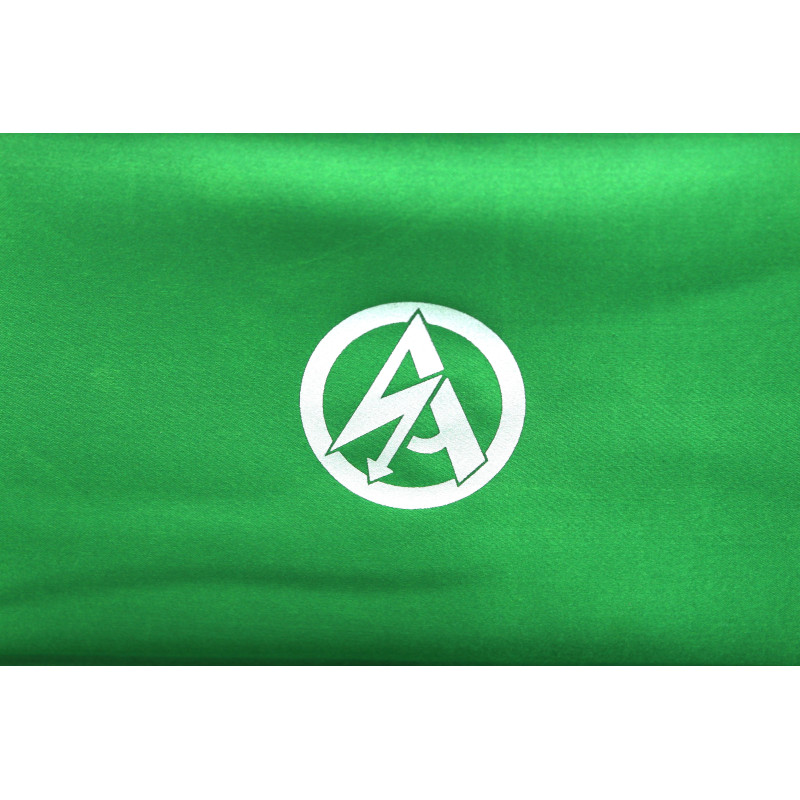 Coffret de présentation et sa dague d'honneur SA 1941 RZM